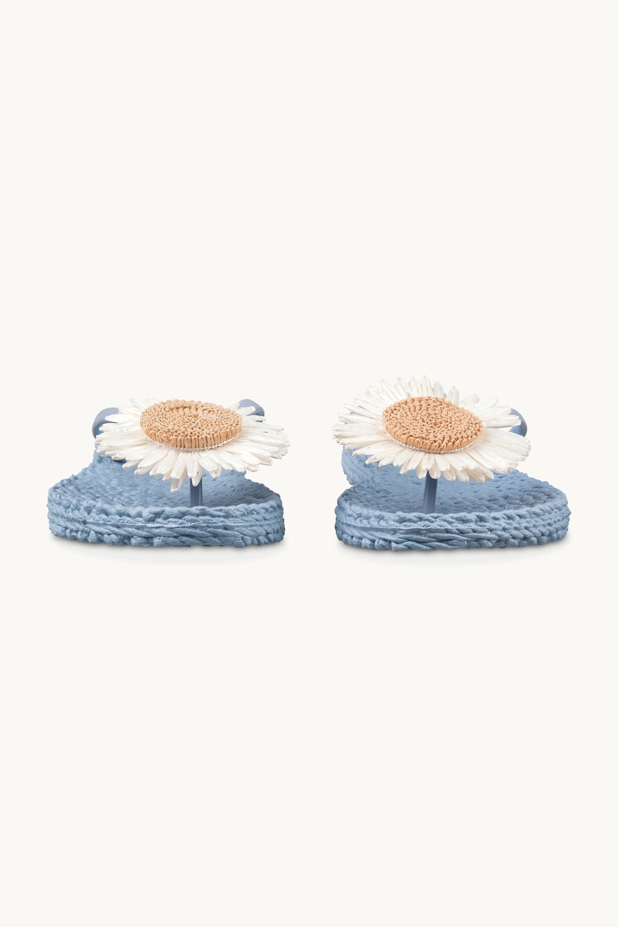 Klipklapper Blomst - Cornflower