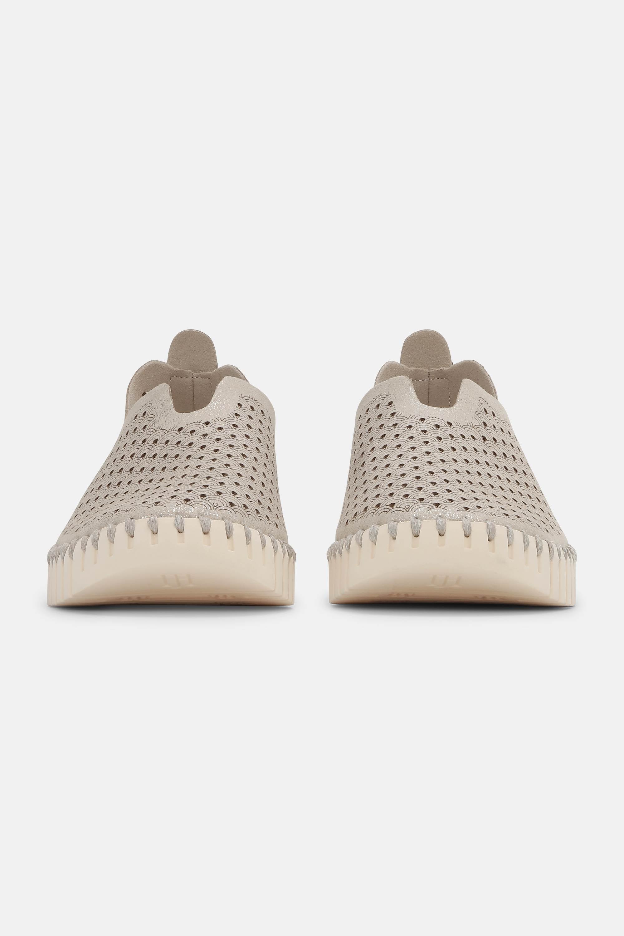 Tulip Glitter - Silver Pearled Ivory