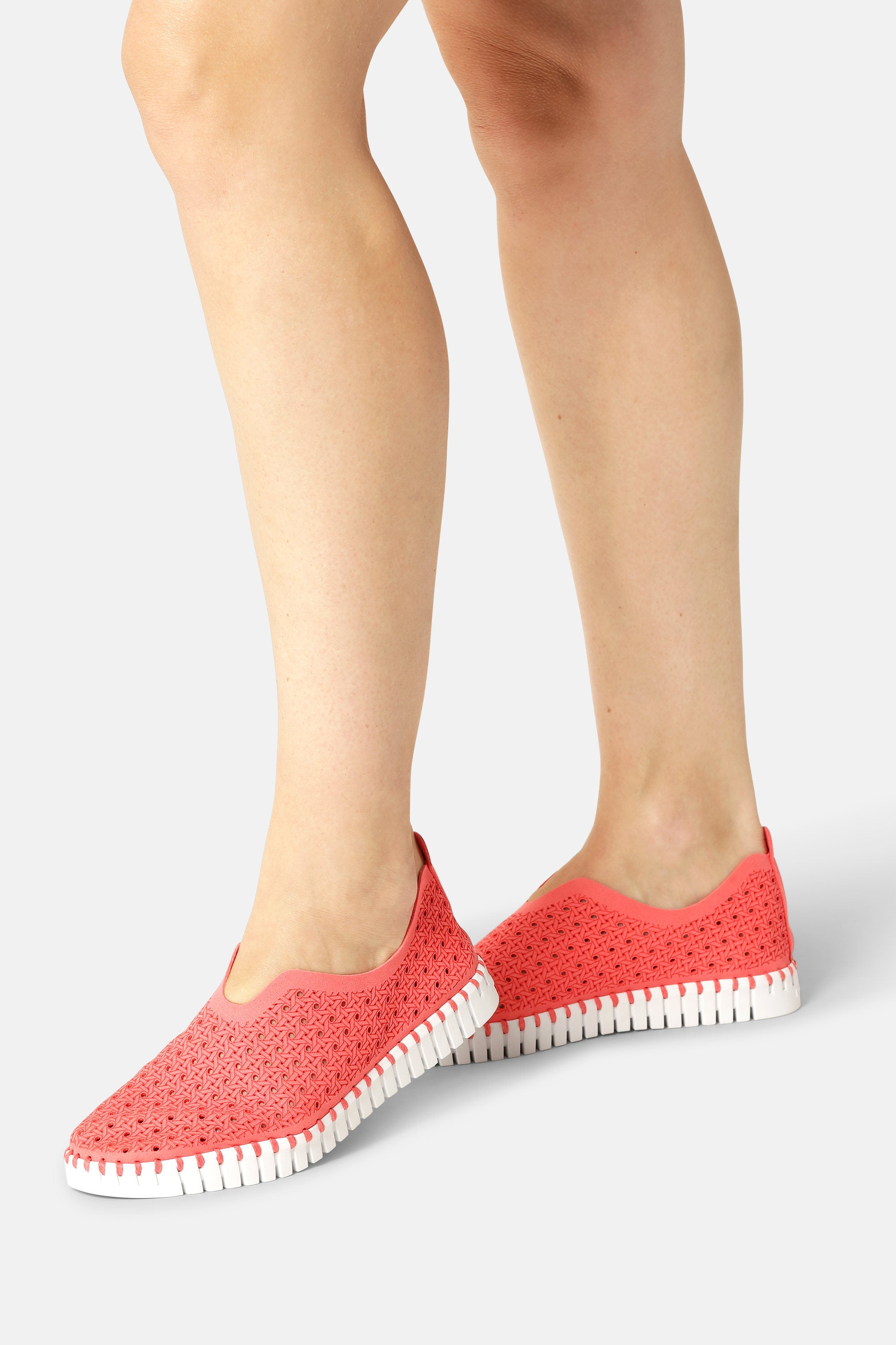 Tulip Sko - Raspberry White