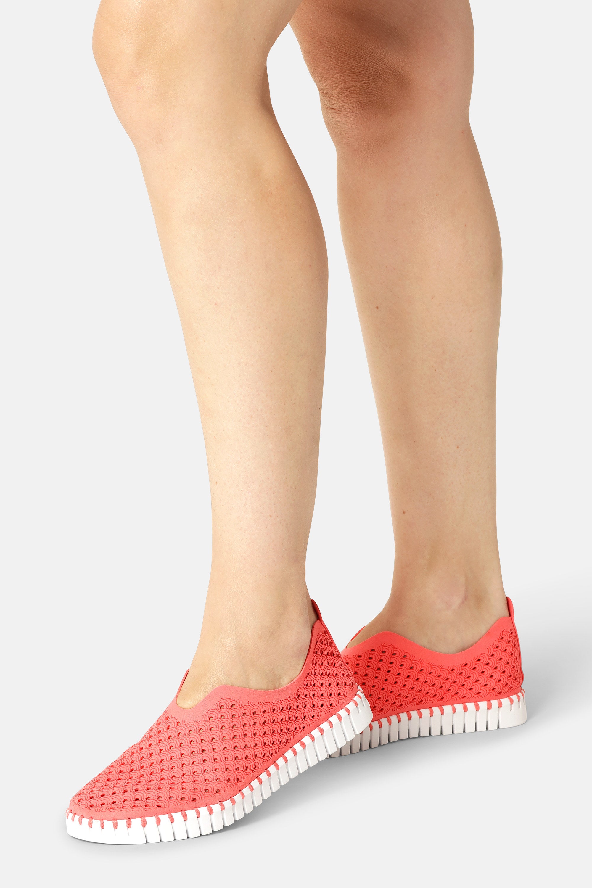 Tulip Sko - Raspberry White