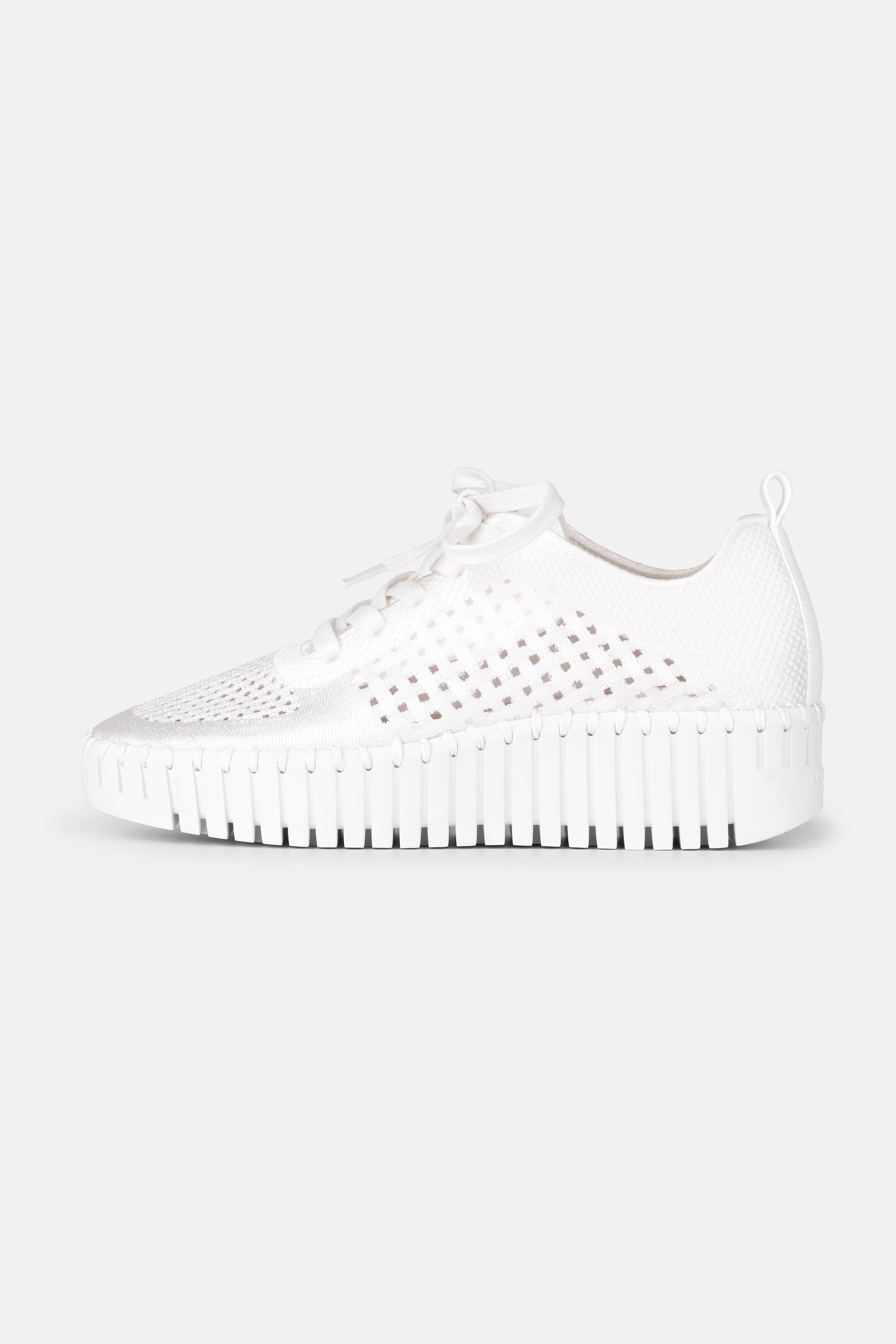 Tulip Sko Med Snørebånd - White White