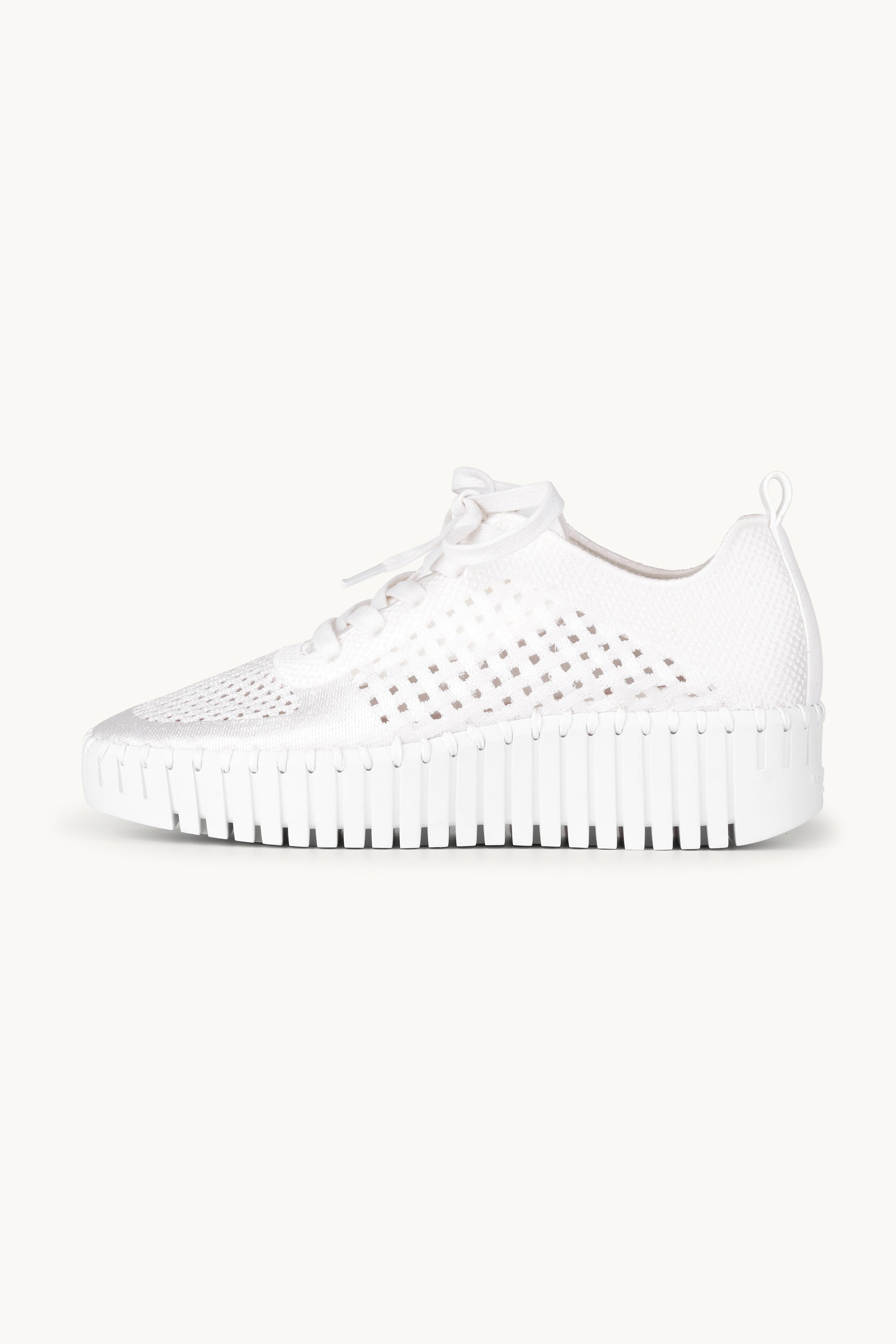 Tulip Sko Med Snørebånd - White White